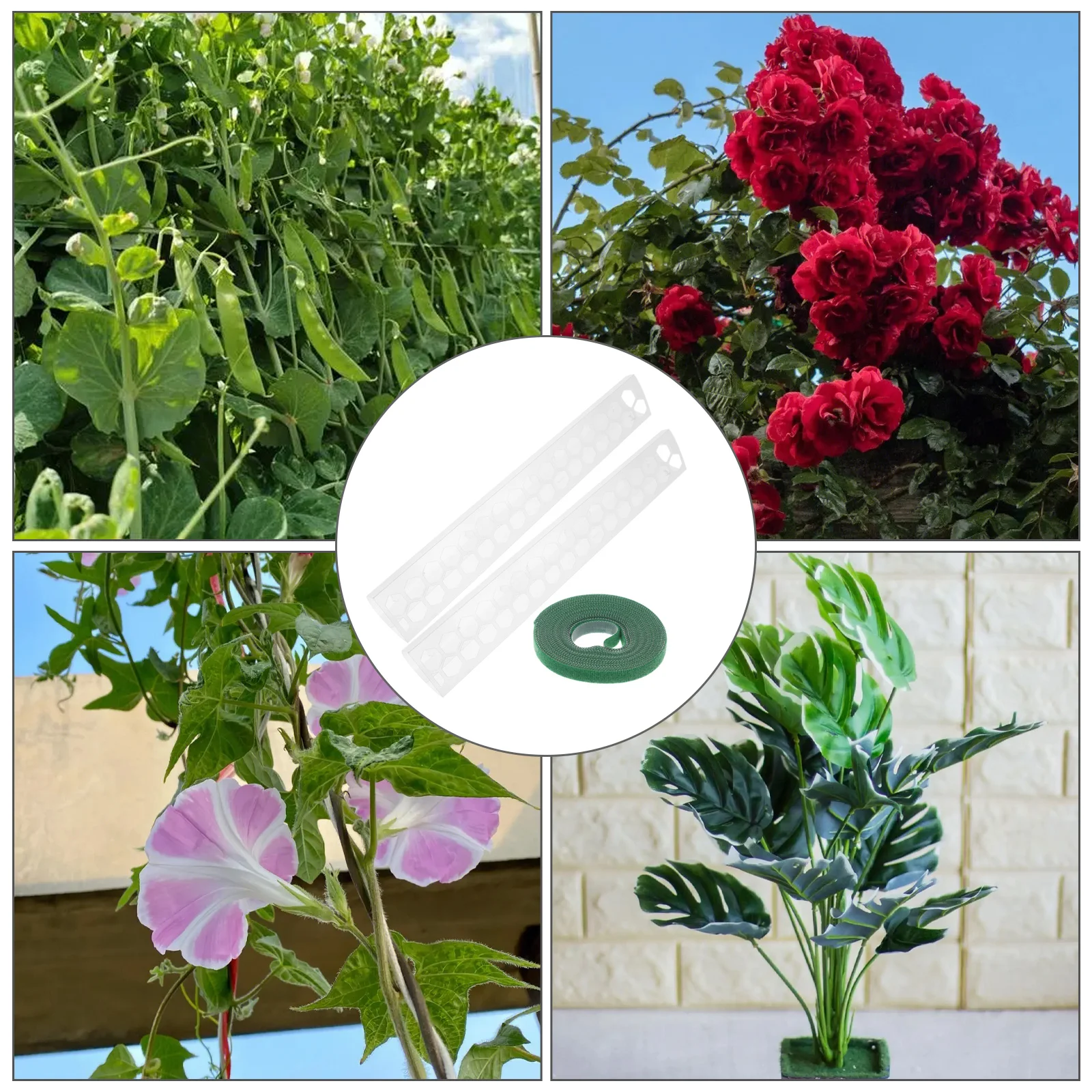 

1 set Plastic Moss Support Moss Poles Climbing Decorative Plant Trellis Garden Trellis Vine Display Lightweight Decorative Rack