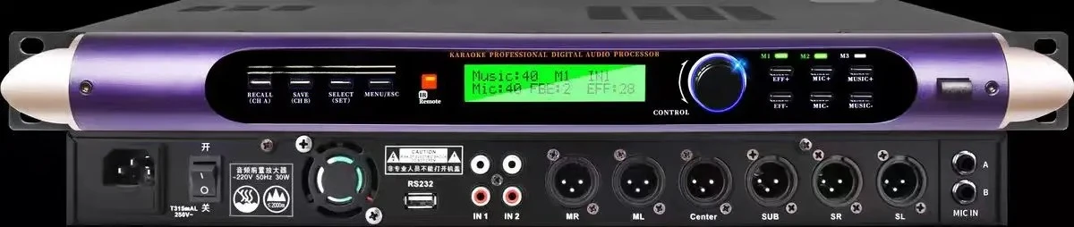 Digital echo reverb sound effect X8 audio processor dsp