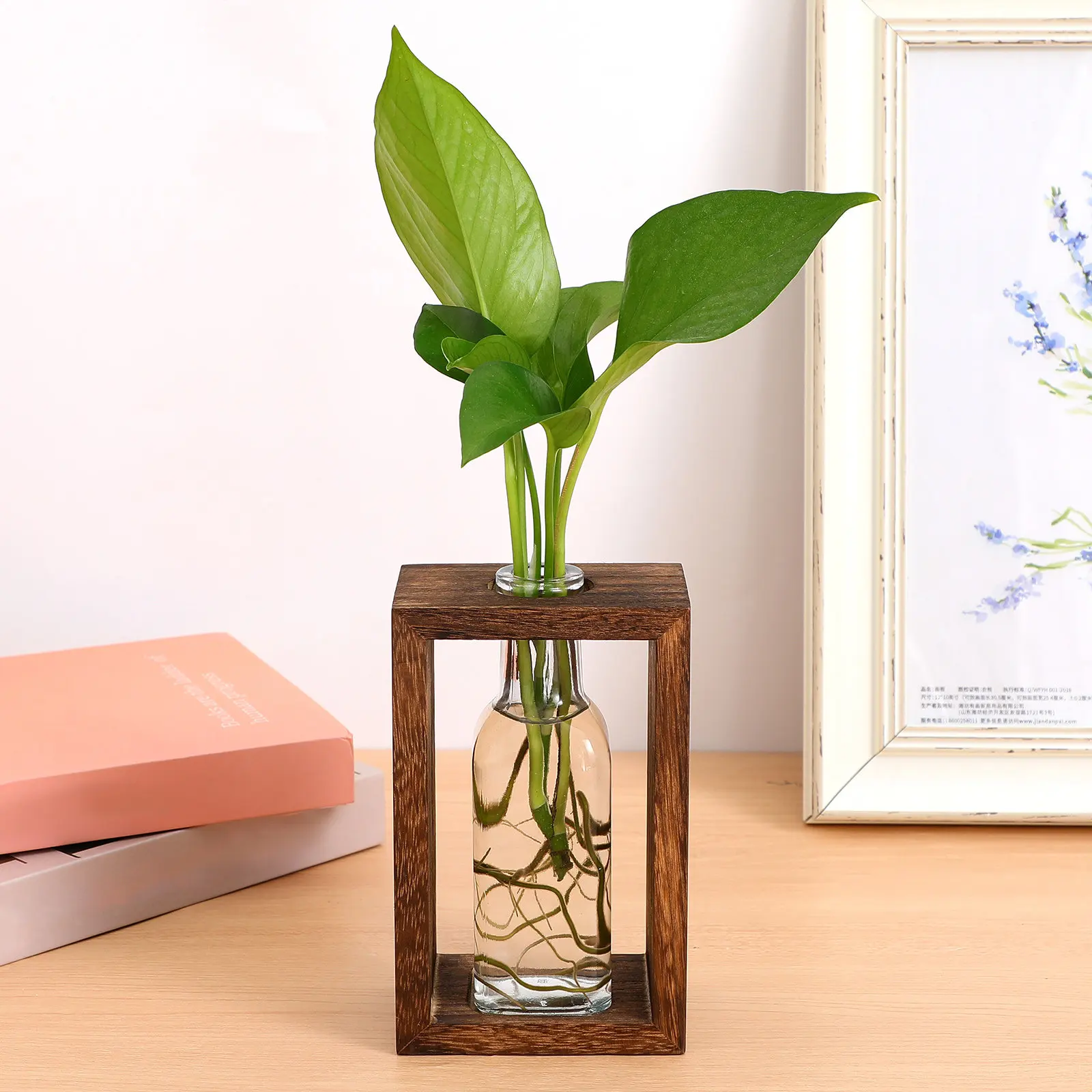 1Set Clear Glass Terrarium Bottle with Wooden Frame Hydroponic Planter for Plants Propagation Desktop Tabletop Home Office Decor