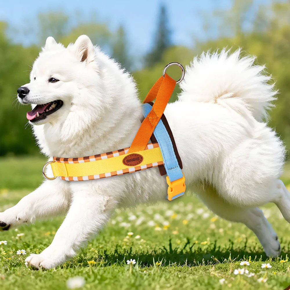 ชุดสายจูงและปลอกคอสุนัขสีแฟชั่ - No Pull Dog Harness บทวิจารณ์และราคา