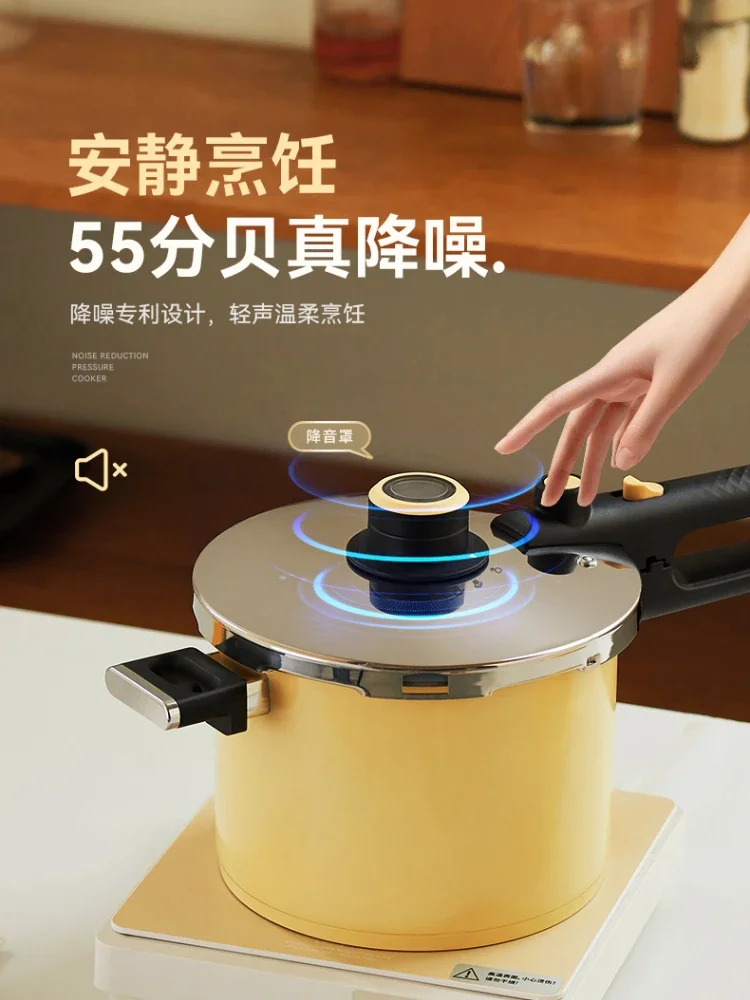 household small micro pressure cooker gas induction cooker universal Pressure cooker explosion-proof large capacity stew soup