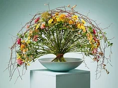 

Шасси из нержавеющей стали + крышка оси для деталей радиоуправляемых игрушек VP OPTIC H10