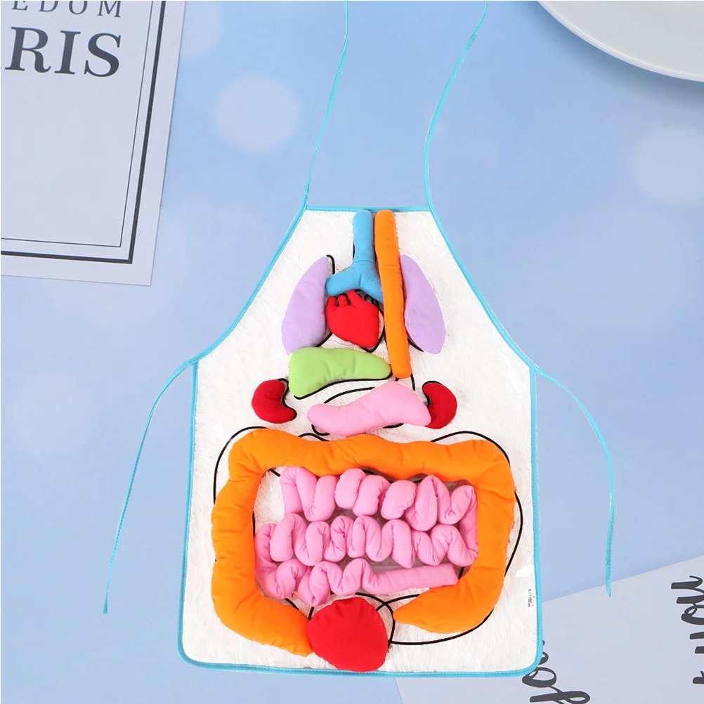 

Human Organs Patterned Apron for Children Educational Teaching Aid Anatomy Learning Resource for Kids Schools Hospitals Home
