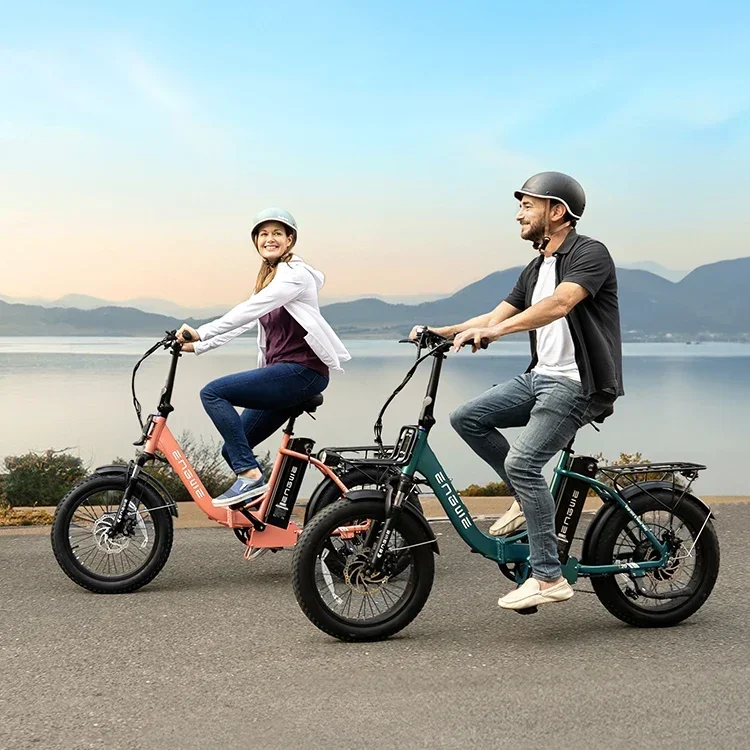 Electric Bicycle engwe L20 750w motor 48v 13ah lithium battery adult Electric Bike 20 inch fat tire fold Urban leisure E-bike