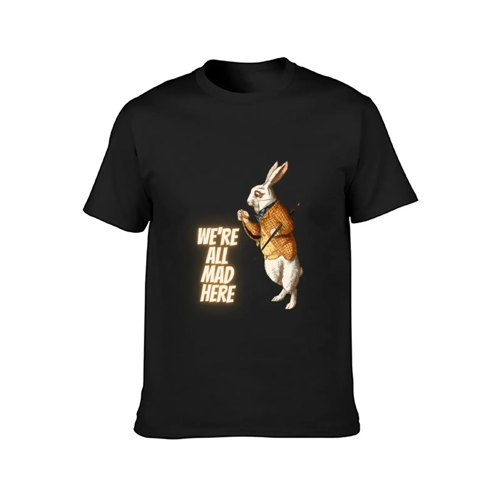 We're All Mad Here _ Alice wonderland brown rabbit quotes T-Shirt oversizeds plain t shirts men