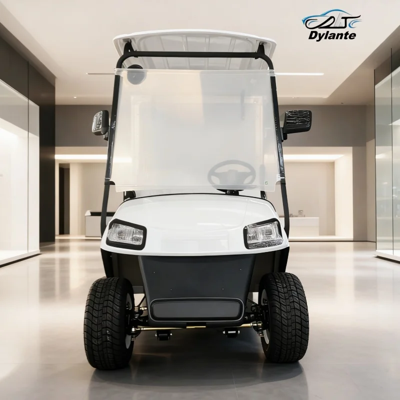 عربة جولف كهربائية سيارة إسعاف بالجملة مع بطارية ليثيوم للفندق والمستشفى مع صندوق البضائع الخلفي