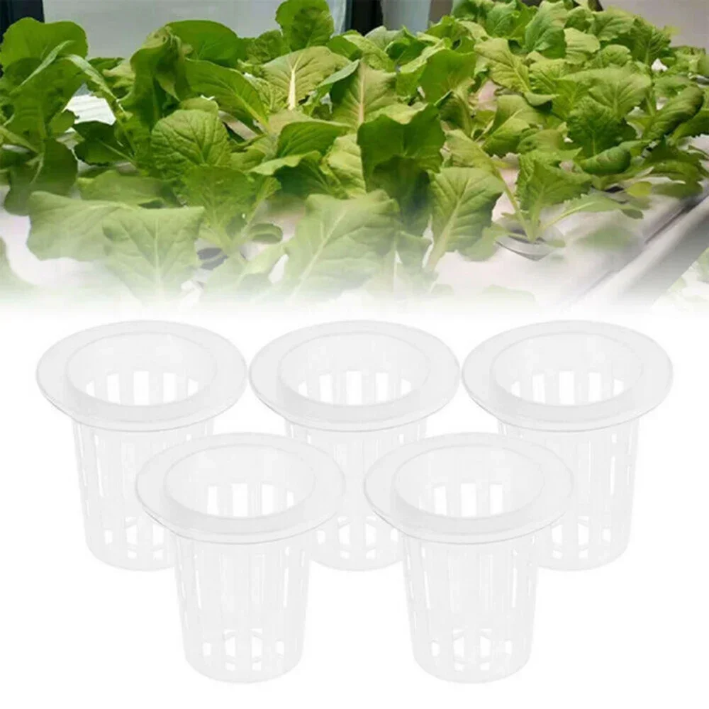50PCS Plant Net Cup And 50PCS Cylinders Sponge For Hydroponic Plant Starting Garden Planting Supplies 35*35mm Plastic Net Cups