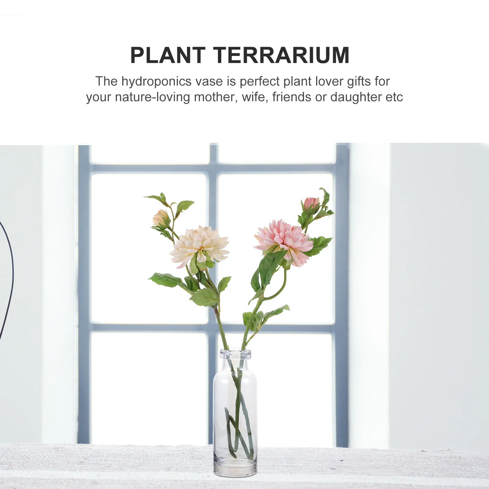 

Desktop Glass Planter Hydroponics Vase for Home Office Glass Plant Container Garden Decor Hydroponic Plants Vase