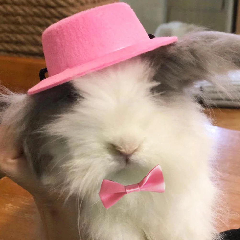 

2 Sets Pet Suit Costume for Animal Costumes Rabbits Bunny Accessories Hamster Chinchilla Caps Supply Headwear