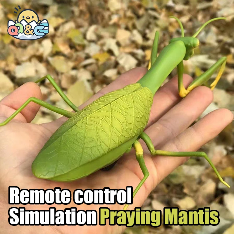 RC Animal Robot Antistress Insect Toys Infrared Simulation Spider Bee fly mantis Electric Toy for Children Prank Insects pet toy