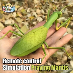 RC Animal Robot Antistress Insect Toys Infrared Simulation Spider Bee fly mantis Electric Toy for Children Prank Insects pet toy