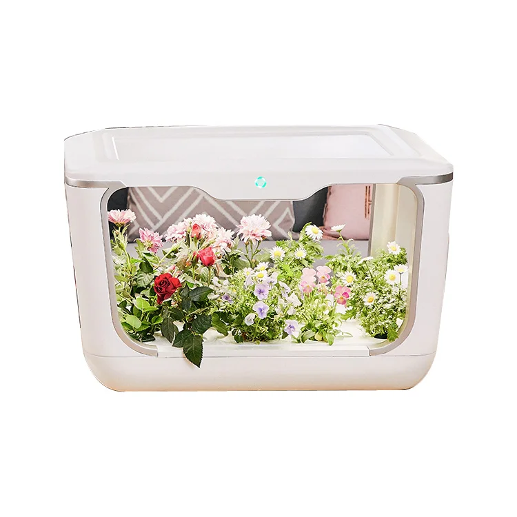 Indoor Vertical Hydroponics Desktop Smart Hydroponic Grow System Flower Pot  Nft  Box