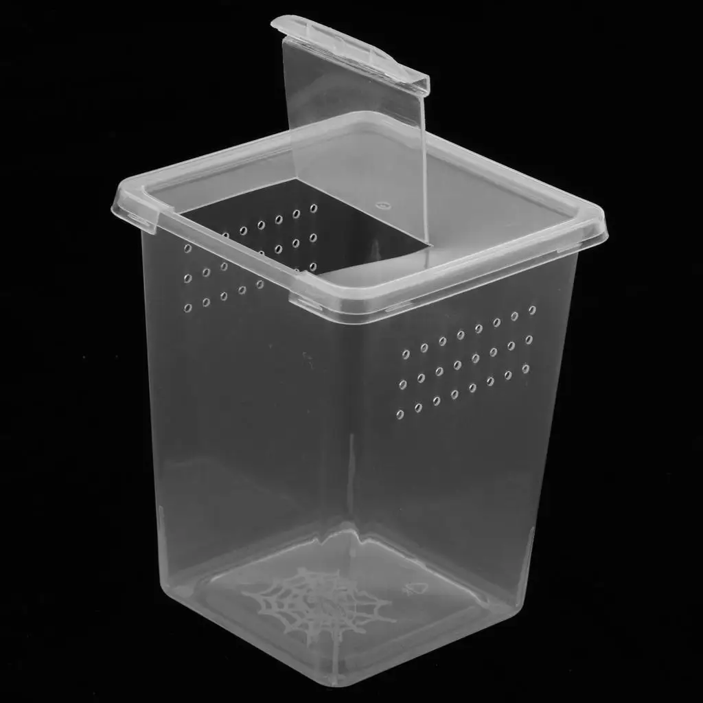 Plastic Insect Habitat Feeding Box Case Container Tank Transport Case Hatching Tank Reptile Tank Habitat Case