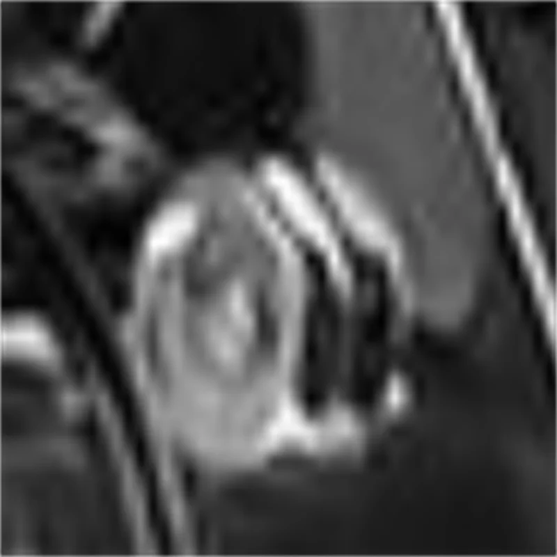 

Factory Price Meat Grinder Electric Meat Grinder Machine Commercial Grinder