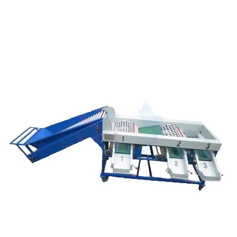 Commercial Stainless Steel Longan Orange Washing Waxing Drying And Grading Machine/Litchi Citrus Garlic Fruit Sorting Machine