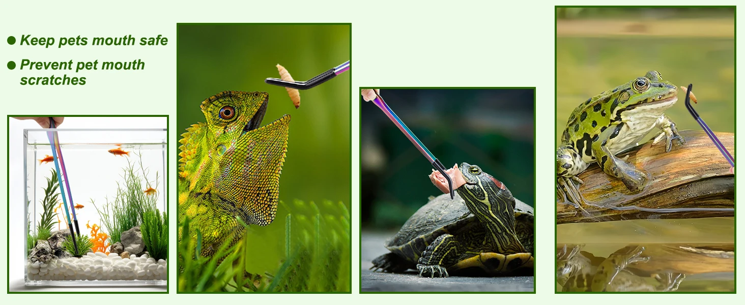 1/2 Stück Edelstahl-Reptilienfutterzange mit Gummispitze – 10,6 Zoll gerade und gebogene Pinzette für Aquarien und Bastelarbeiten – Detail 4
