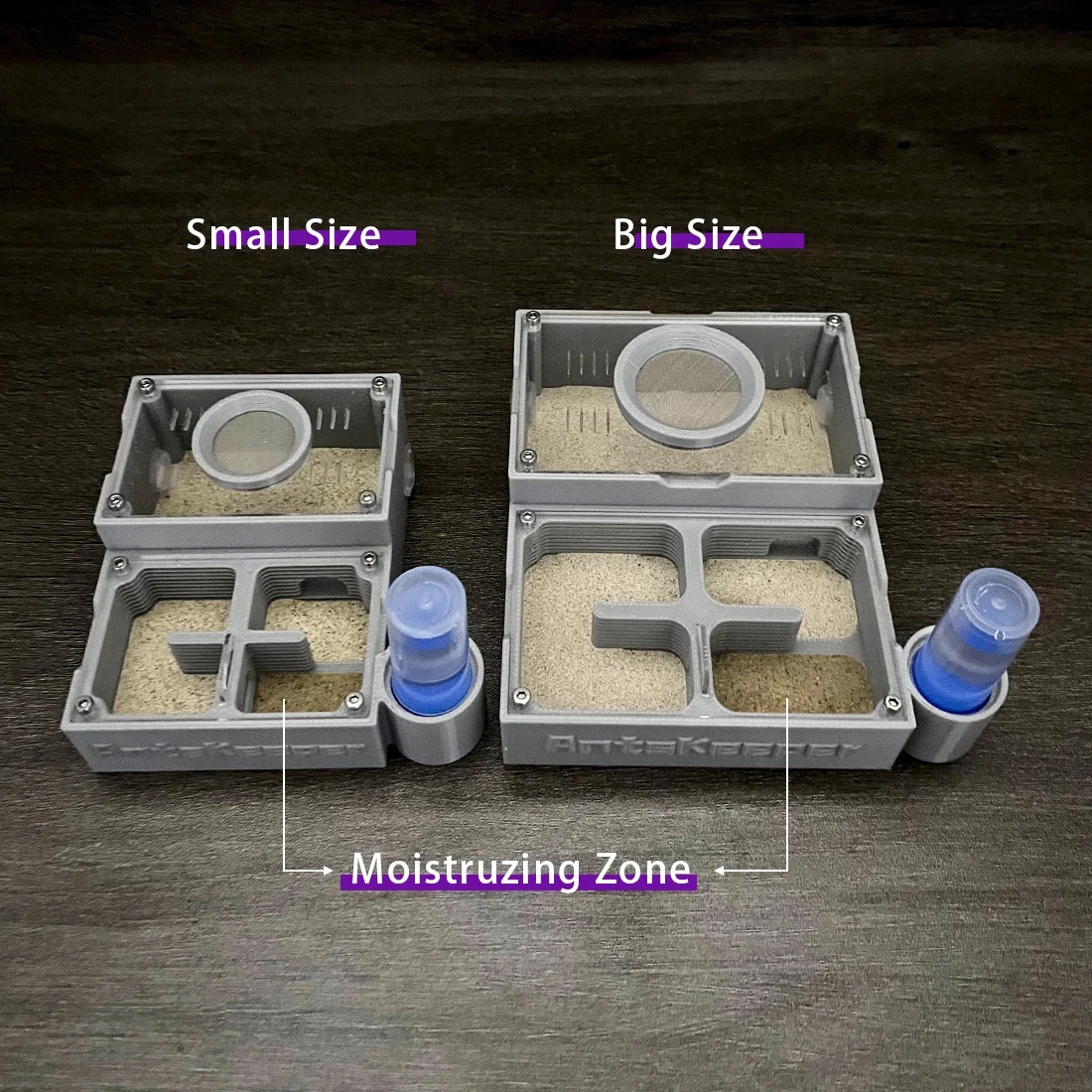 【Four Section】Flat Ant Farm with Indepedent Rooms for Ants keeper , Ant Hill House Nest for Small and Middle Ants Colony