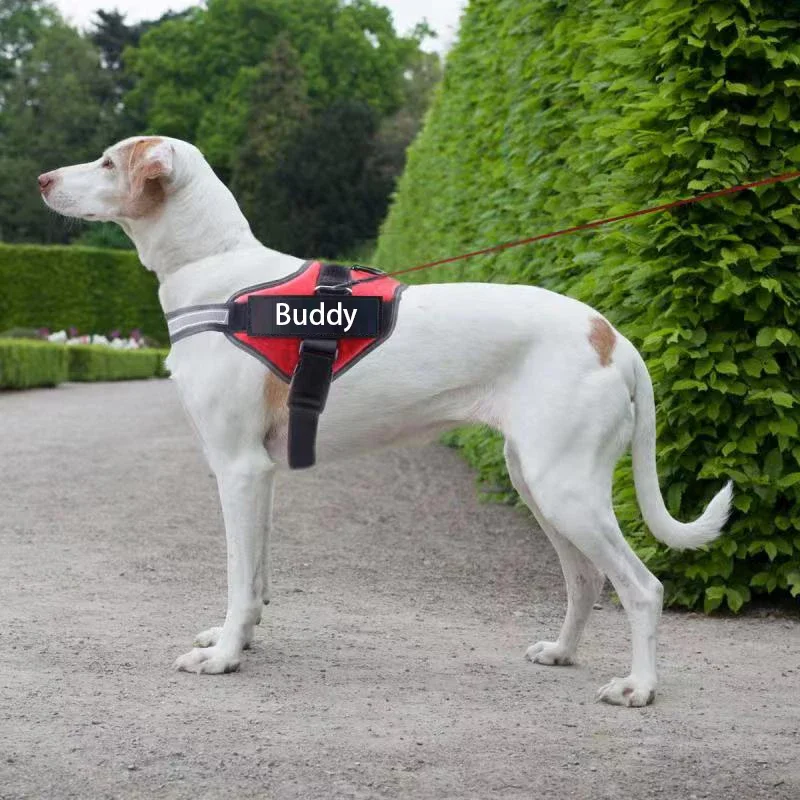 Dropshipping Dog Harness Vest ID Patch Customized Reflective Breathable Adjustable Pet Harness For Small Large Dogs NO PULL - view 6