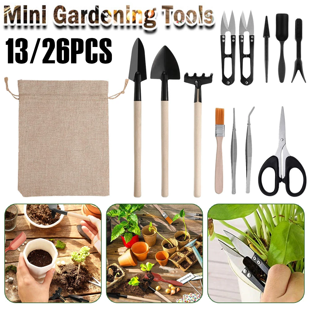 Succulent Plants Tools Lightweight Bonsai Transplanting Kit Mini Garden Hand Tools Indoor Miniature Plant Care for Landscaping