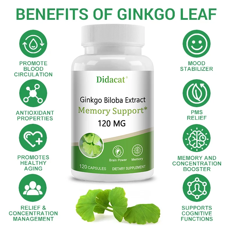 Ginkgo Biloba Extract Capsules - Promotes Brain Function and Memory, Attention, Antioxidant, Anti-Aging, Vegetarian