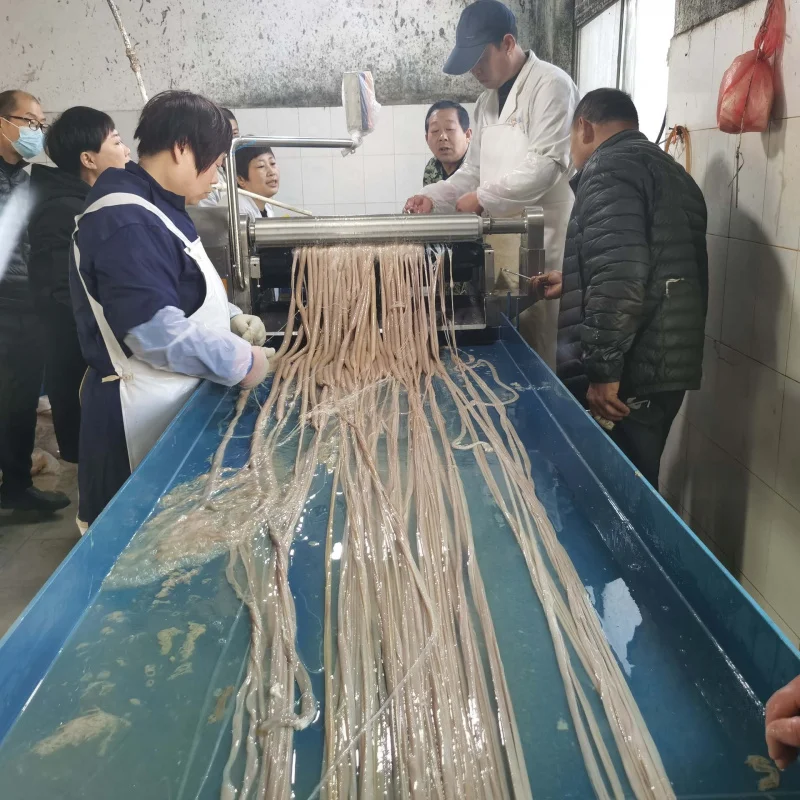 Pork Small Intestine Sheep Small Intestine Cleaning Machine Heparin Sodium Production Line 304 Stainless Steel Small Intestine C