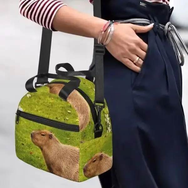 

Сумки для обеда Capybara, изолированная коробка для бенто, водонепроницаемая сумка для обеда, сумки для пикника, сумка-холодильник для женщин, школы