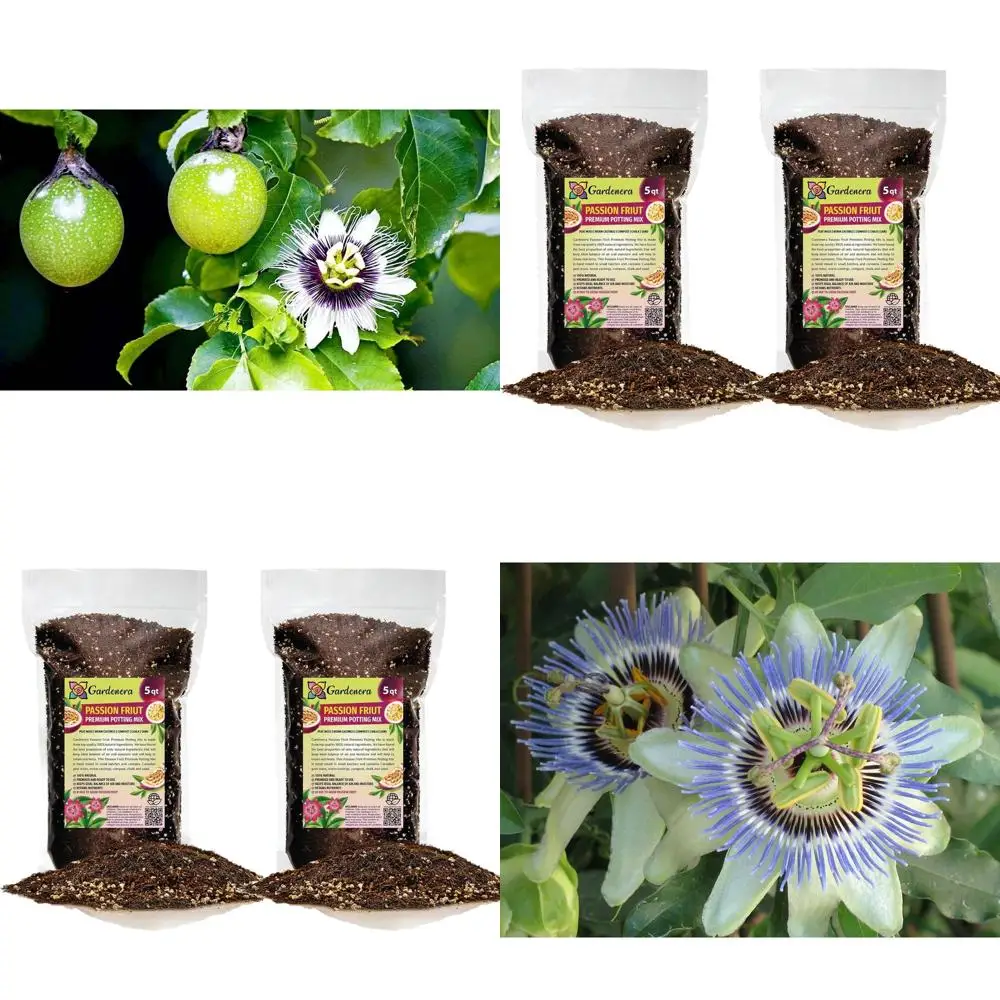 

Смесь грунта для посадки маракуйи - питательная, хорошо дренажная и аэрированная для здоровых растений - 10 кварт