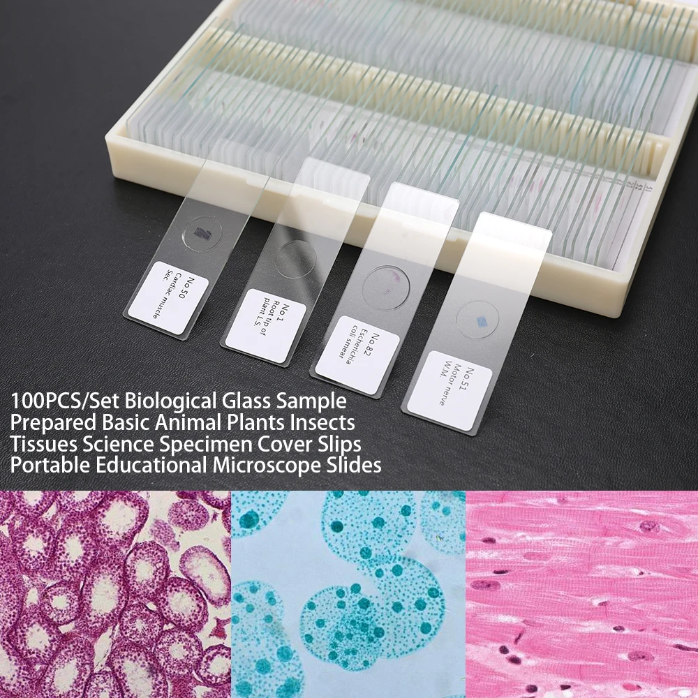 Lot de 100 échantillons biologiques préparés en verre, tissus animaux et végétaux de base, couvercles de préparations scientifiques, pour microscope éducatif