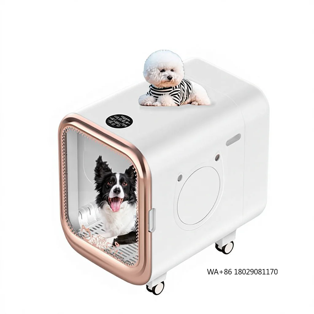 Asciugacapelli commerciale intelligente automatico per cani e gatti 110-240 V EUR Plastica PET ecologica ad alta potenza