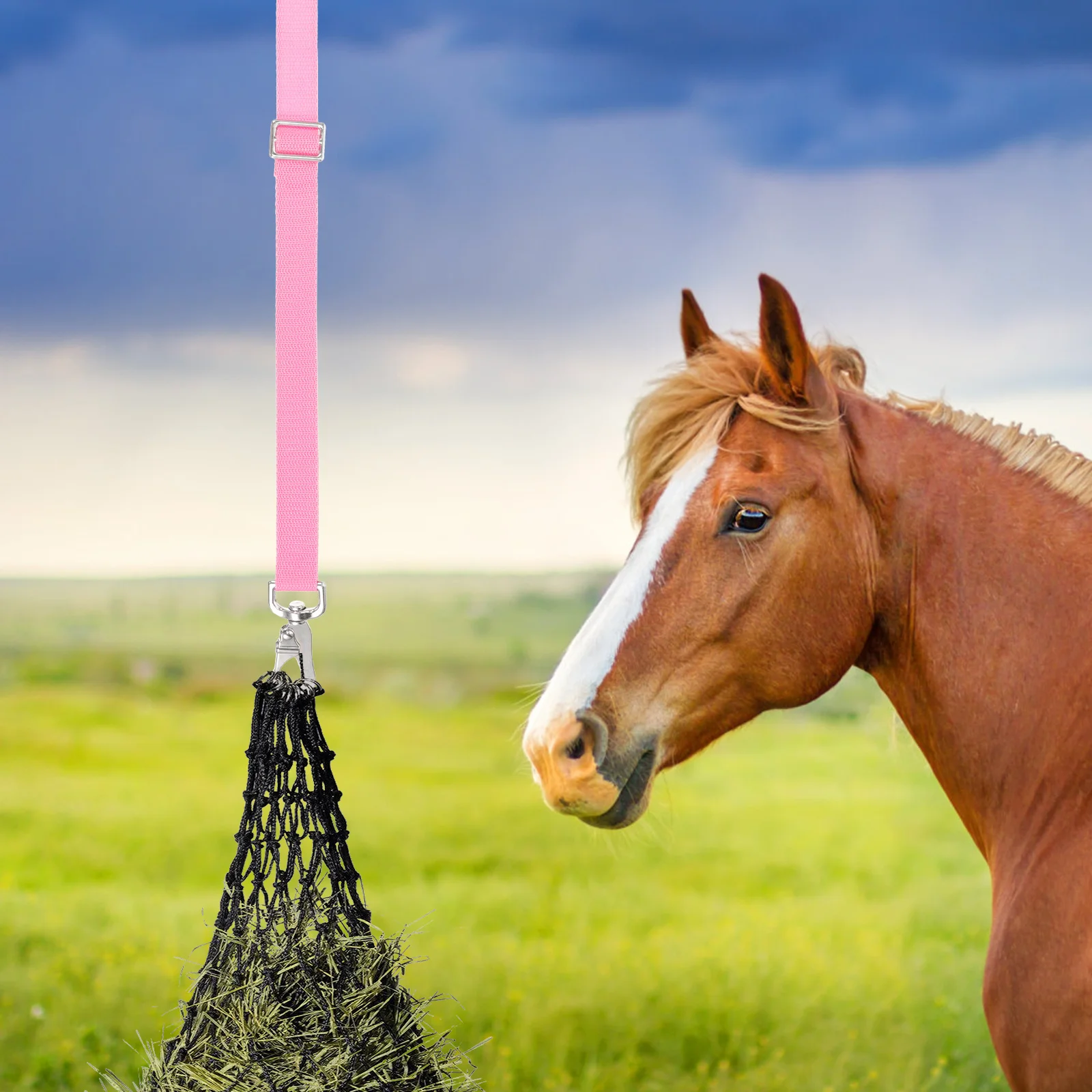 

Horse Bucket Strap Adjustable Wear-Resistant Feeder Hanger For Hay Nets Water Buckets Outdoor Indoor Use Bucket Straps