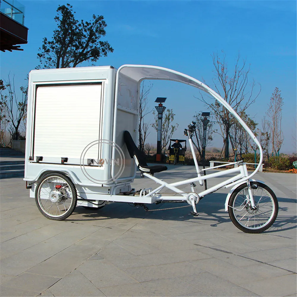 1000W  Gears Electric Assistant Large Carrying  Velo Cargo Grocery Delivery Bike Commercial Logistics Trike Tricycle