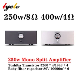 LYELE TS-12 250w Mono Split Power Amplifier High Power Toshiba Transistor Low Distortion Support RCA XLR Input  Audio Amplifier