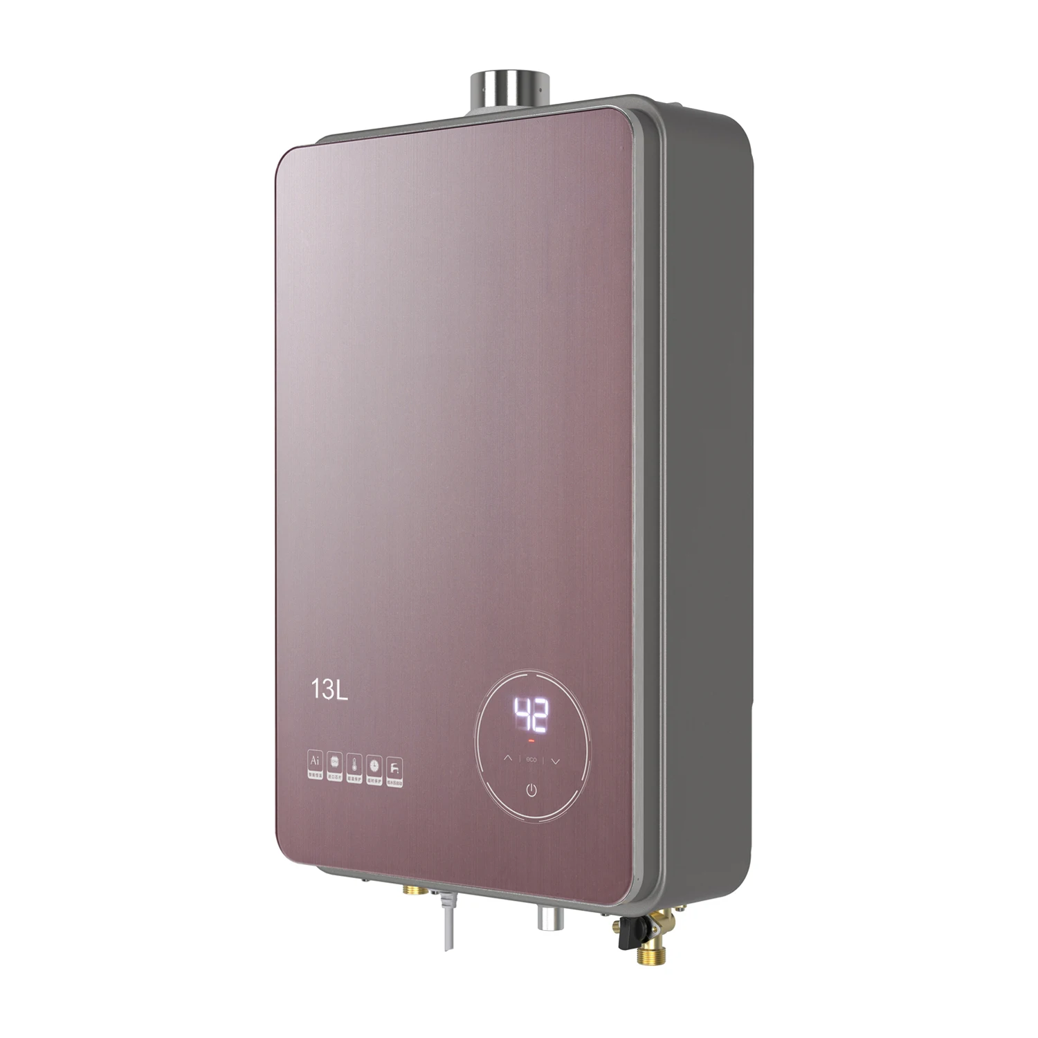 Indoor Tankless Natural Gas Water Heater Constant Temperature Type Propane Instant Hot Copper for Household Use view 3