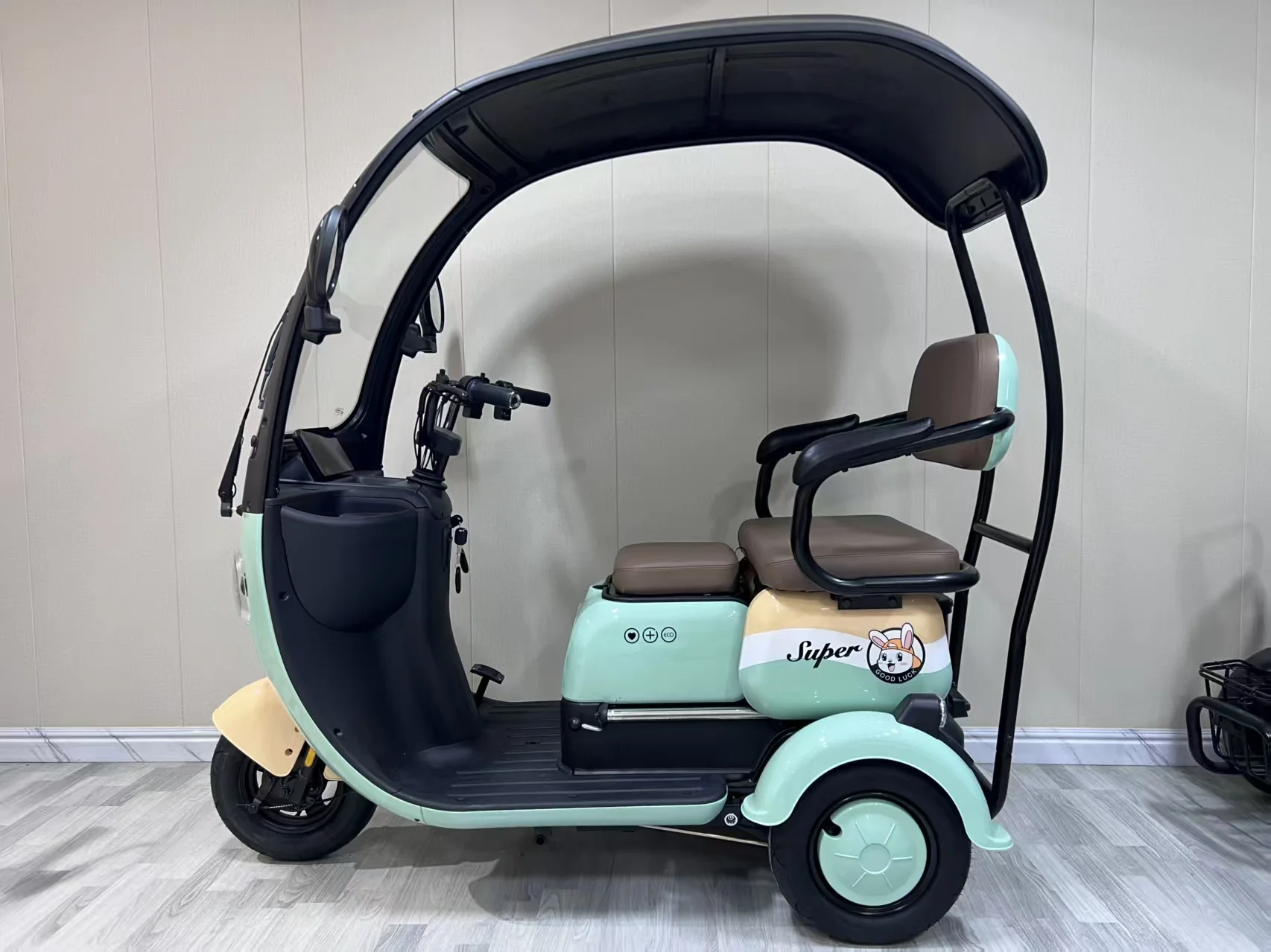 Factory-Direct: Semi-Enclosed Electric Tricycle with Canopy  Ideal for Leisure and Personal Mobility