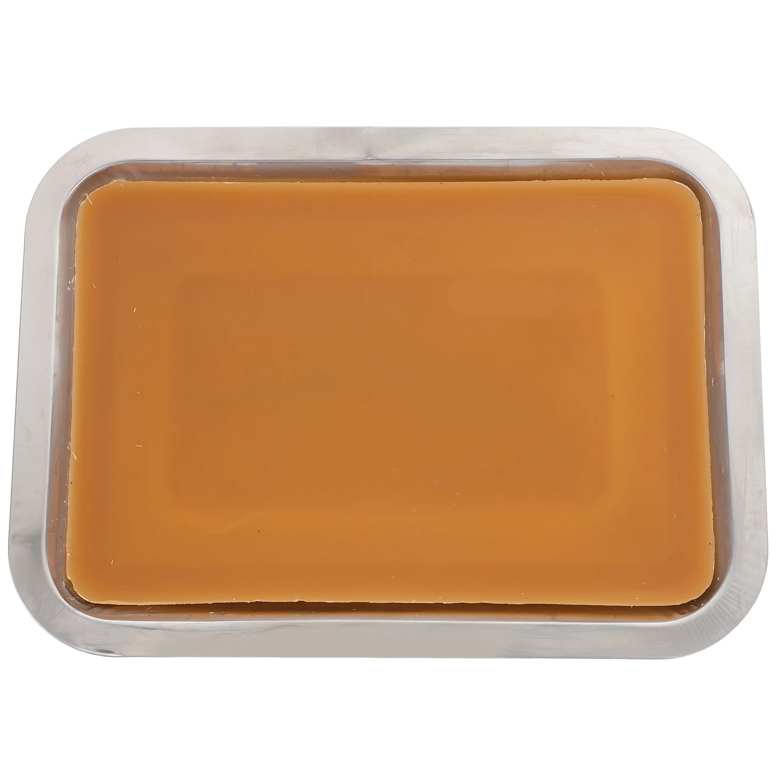 

Biological Experiment Wax Plate Tray Junior Class Tool Stainless Steel Dissection
