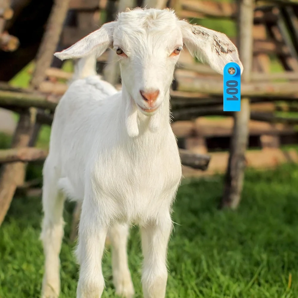 A24I 300 Pcs Livestock Ear Tags for Sheep Goat Cattle 001-100 Number for Cow Pig Dog Deer Horse Farm Animal Identification