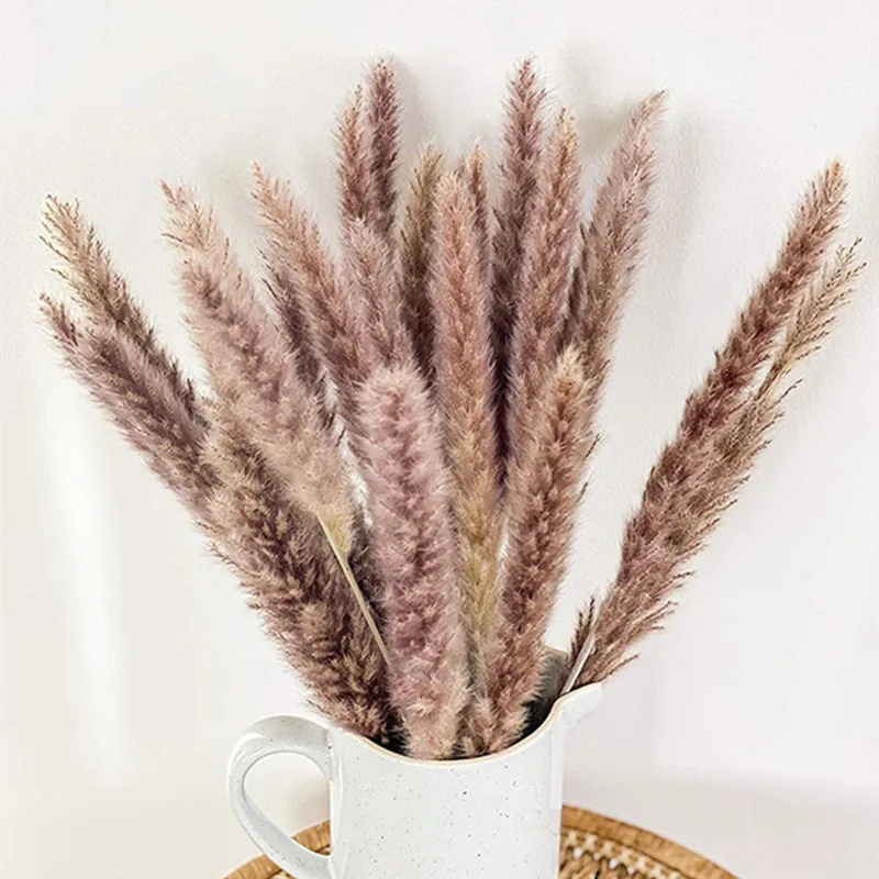 75Pcs Natural Dried Fluffy Pampas Bunny Tail Grass Bouquet Set Boho Home Decor Decorative Bridesmaid Gift  Bride Accesories