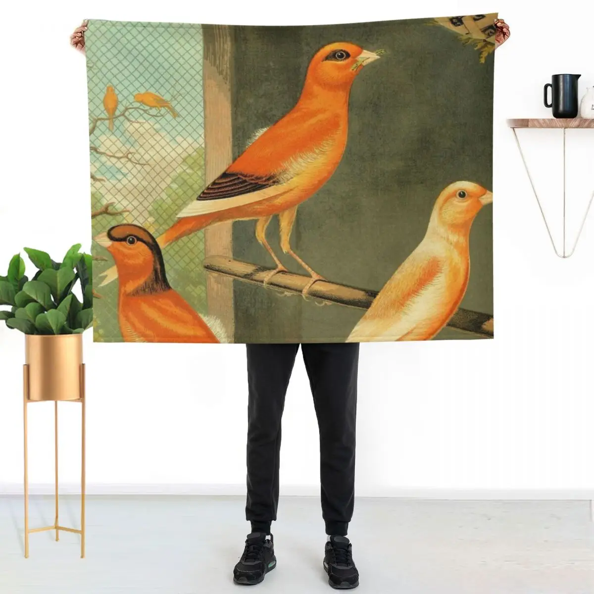 Norwich Canaries Cage Birds Art Prints Old Painting Antique Drawing Throw Blanket Comforter Flannel Hair Thin Picnic Blankets