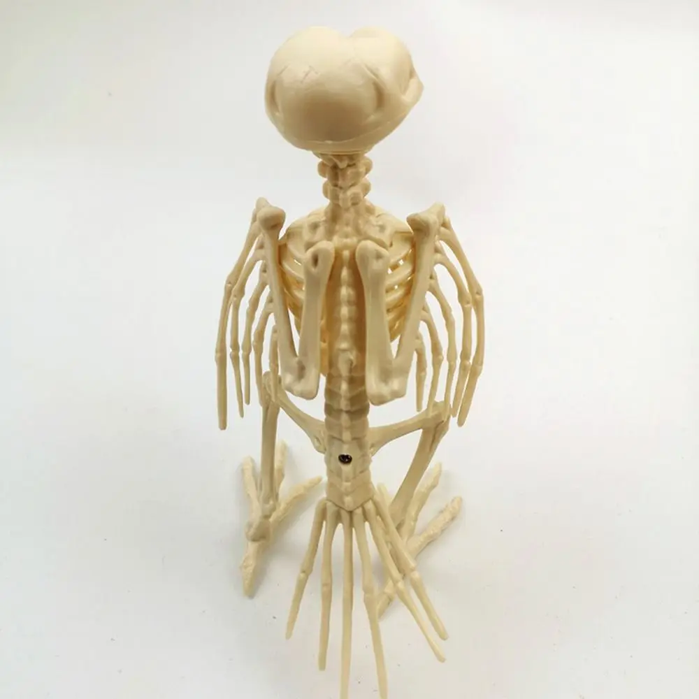 Decoration Halloween Prop Horror Animal Skeleton Bones Crow Skeleton Halloween Decoration Skeleton Raven