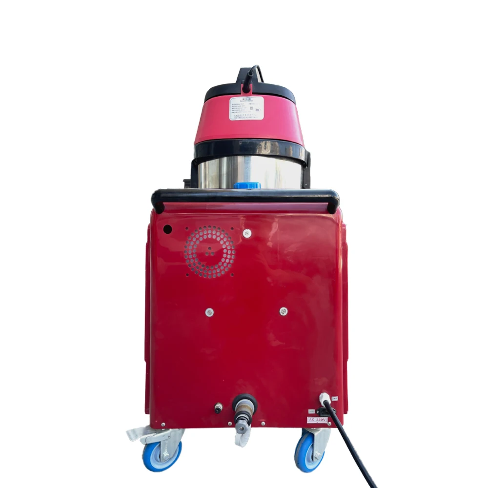 High Temperature Steam Cleaner for Bed Bugs Cleaning