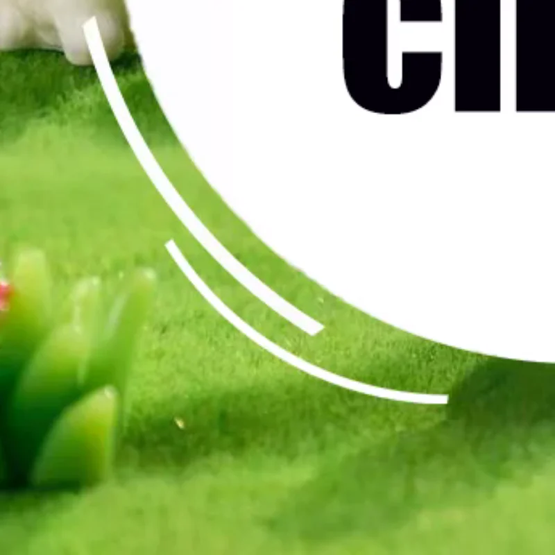 5 قطعة دمية مصغرة جرو الجنية حديقة الديكور Kawaii الراتنج الكرتون الحيوان الكلب الأبيض ل بيت الدمية ديكور اللعب هدية #1