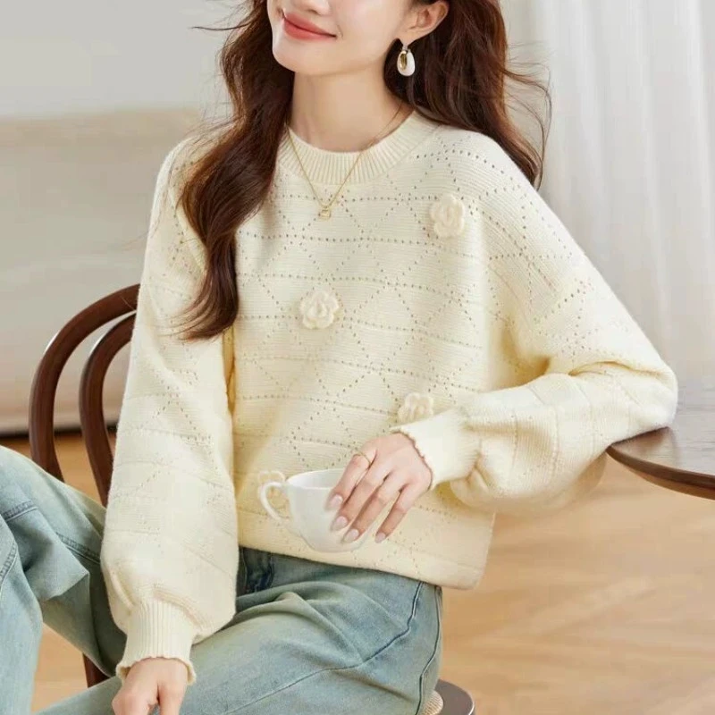 

Women's Short Autumn/Winter 2025 New Knitted Base Embroidered Sweater