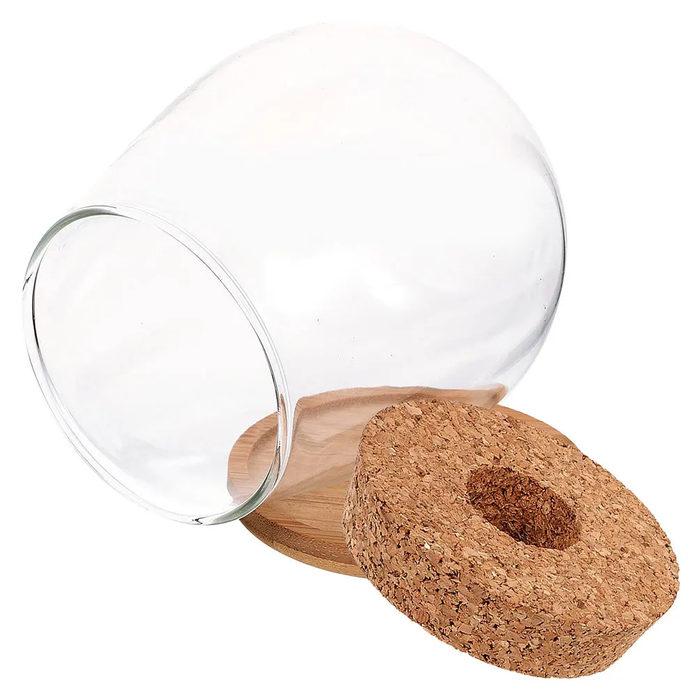 

Hydroponic Glass Vase With Wooden Saucer Clear Micro Landscape Container For Desktop Propagation, Fish Bowl Terrarium,