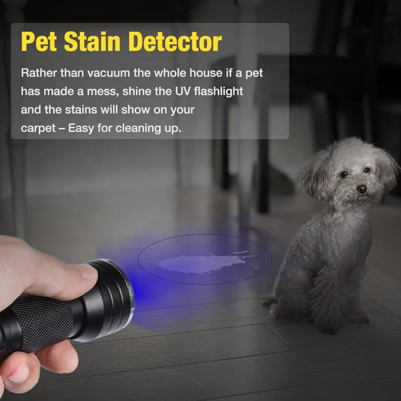 black light flashlight for pet urine UV 395nm Blacklight Flashlight: Vansky 12 LED Light Mini Detection Invisible Dog/Cat Dried Urine Stains on Carpet, Scorpion Finder, Resin Curing : Pet Supplies Whether at home 21 LED UV Ultraviolet Flashlight