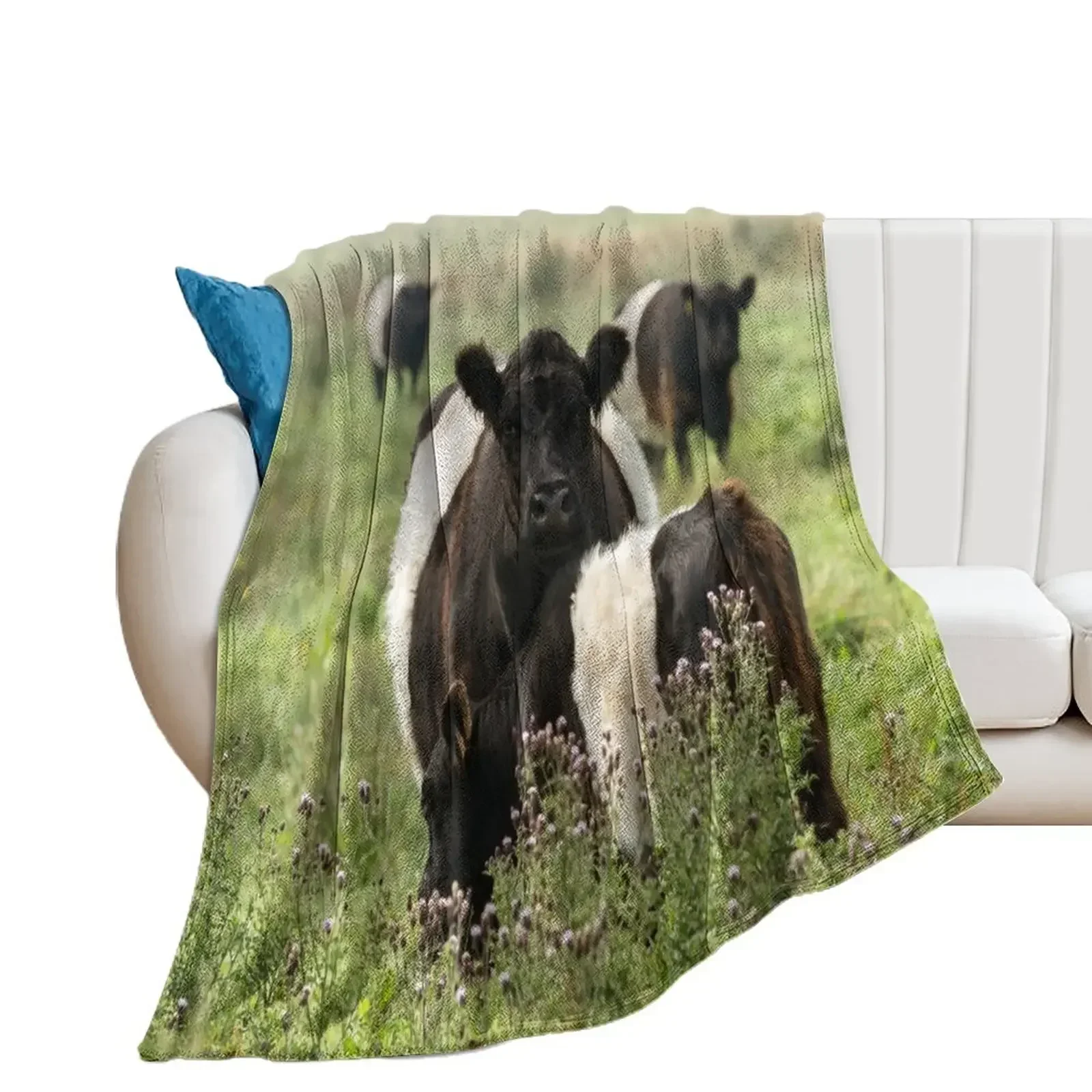 

Belted Galloway Cows Throw Blanket Camping Giant Sofa Bed linens Plaid Blankets