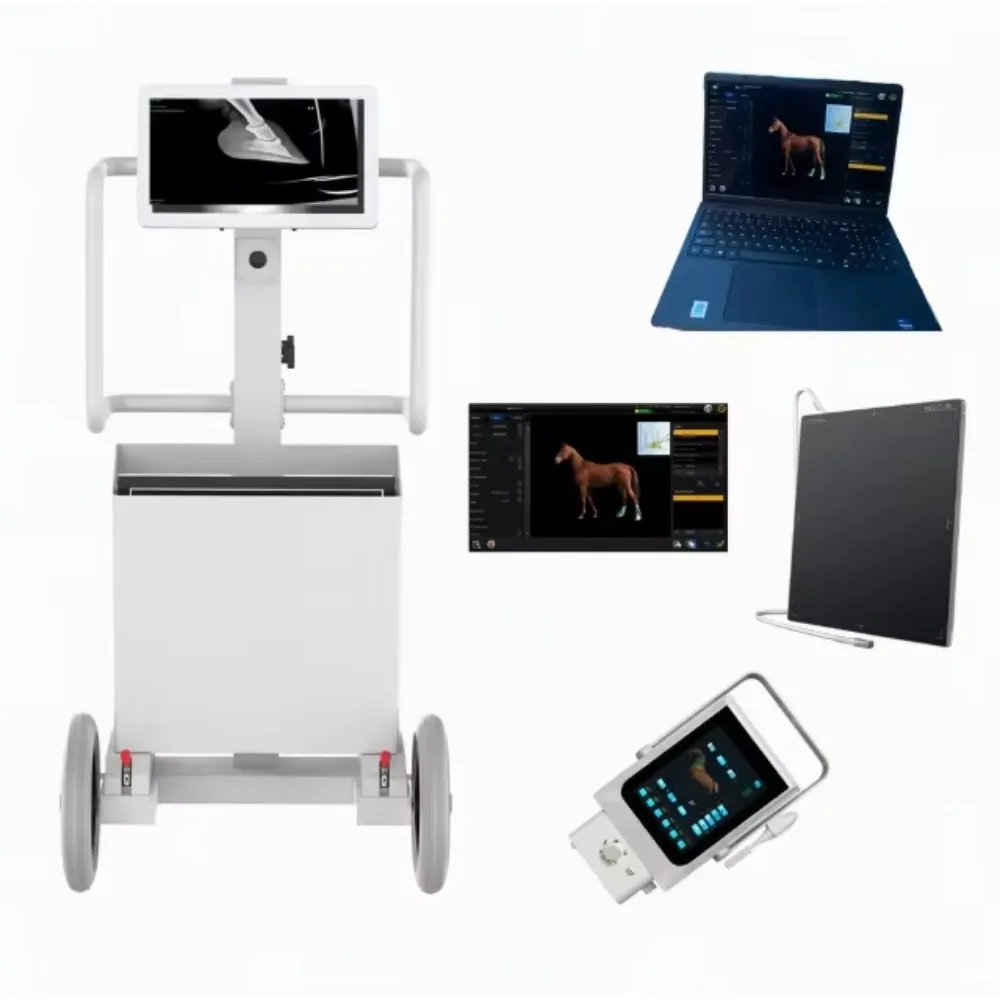 Portable digital handheld veterinary X-ray DR radiography device with touchscreen for use in all animal, pet, and dog clinics
