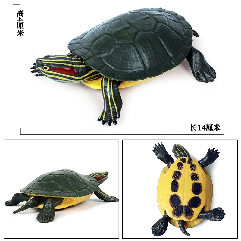 Simulation Marine Animals Ornaments Turtles Eared Slider Tortoise Amphibians Animal Model Children Science Education Tools Toys