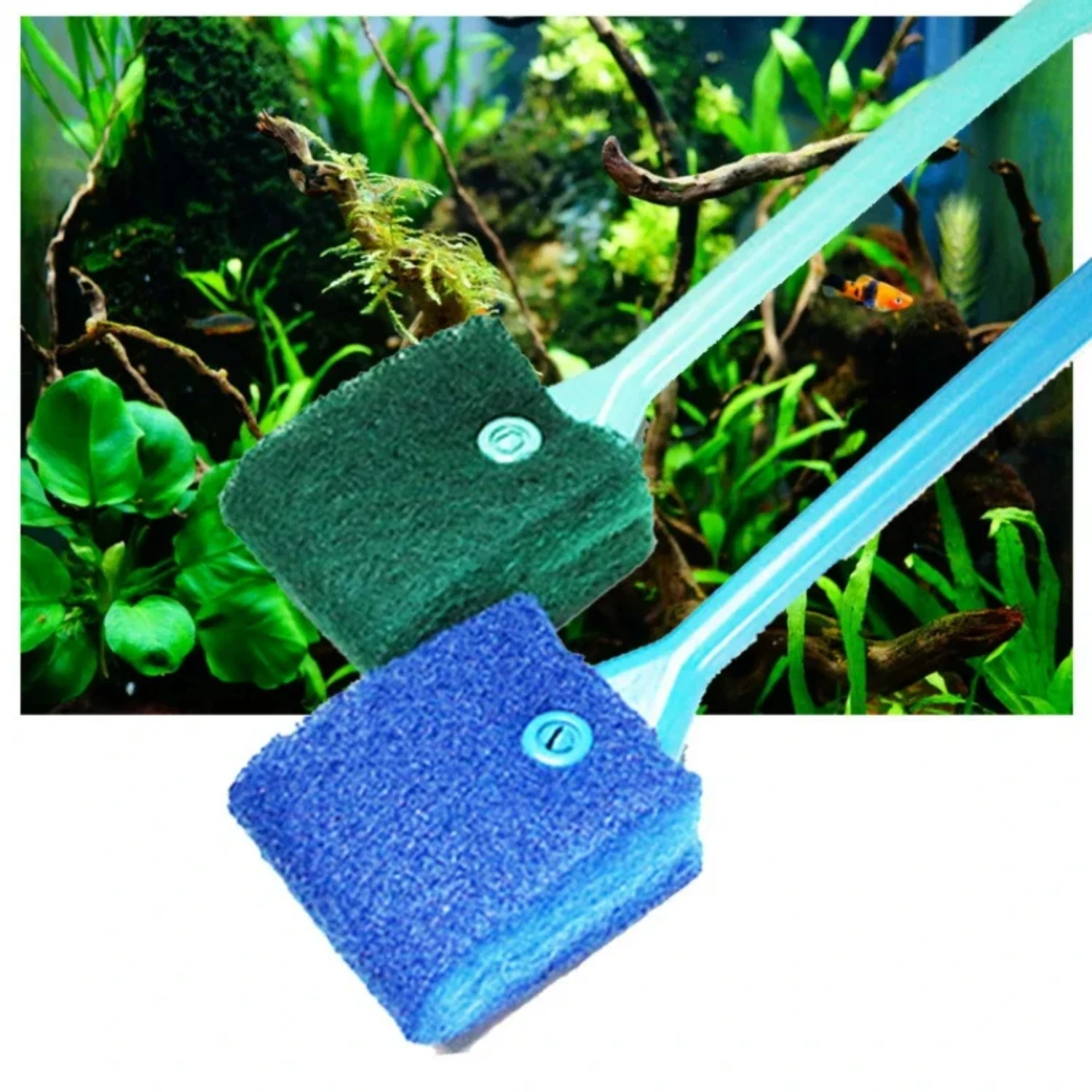 Top-quality premium glass algae scrubbers and scrubbing brushes for fish tank maintenance. Keep aquatic pets healthy with pristi