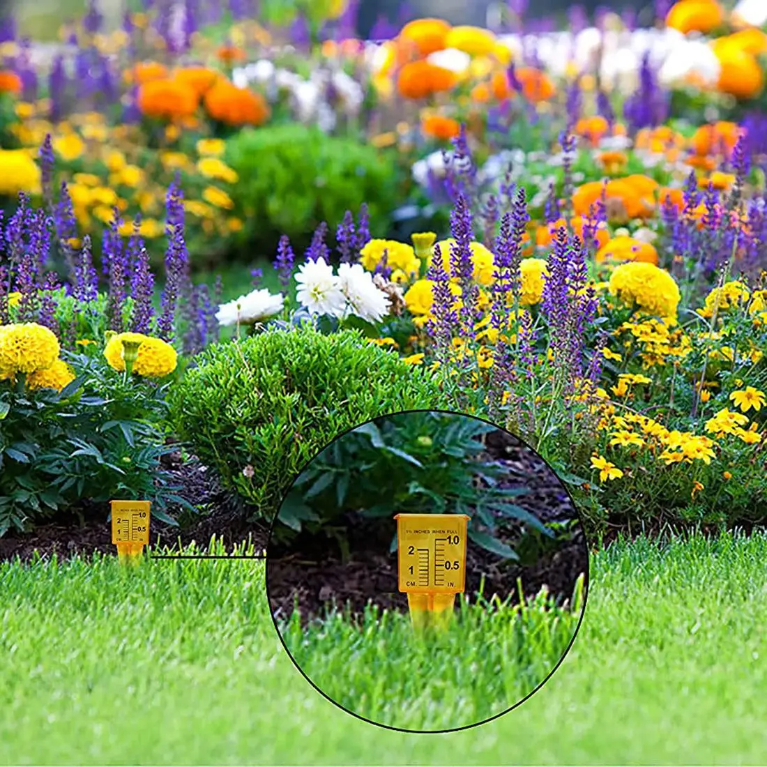 ABUP-Rain Gauge Sprinkler Gauge (12 Pack) For Lawn And Garden Water Measuring Tool Wide Mouth