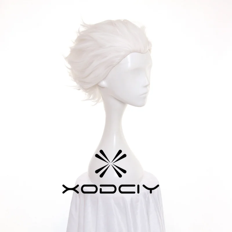 Fate Stay Night Go Extra Archer Emiya pelucas cortas blancas resistentes al calor pelo sintético Anime disfraz Cosplay peluca + gorro de peluca